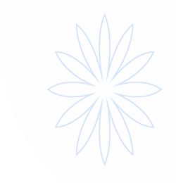 UED·(国际) - 官网